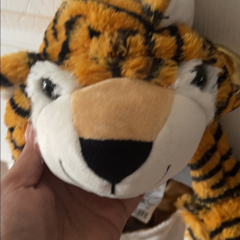 Tiger costume (18-24 months)